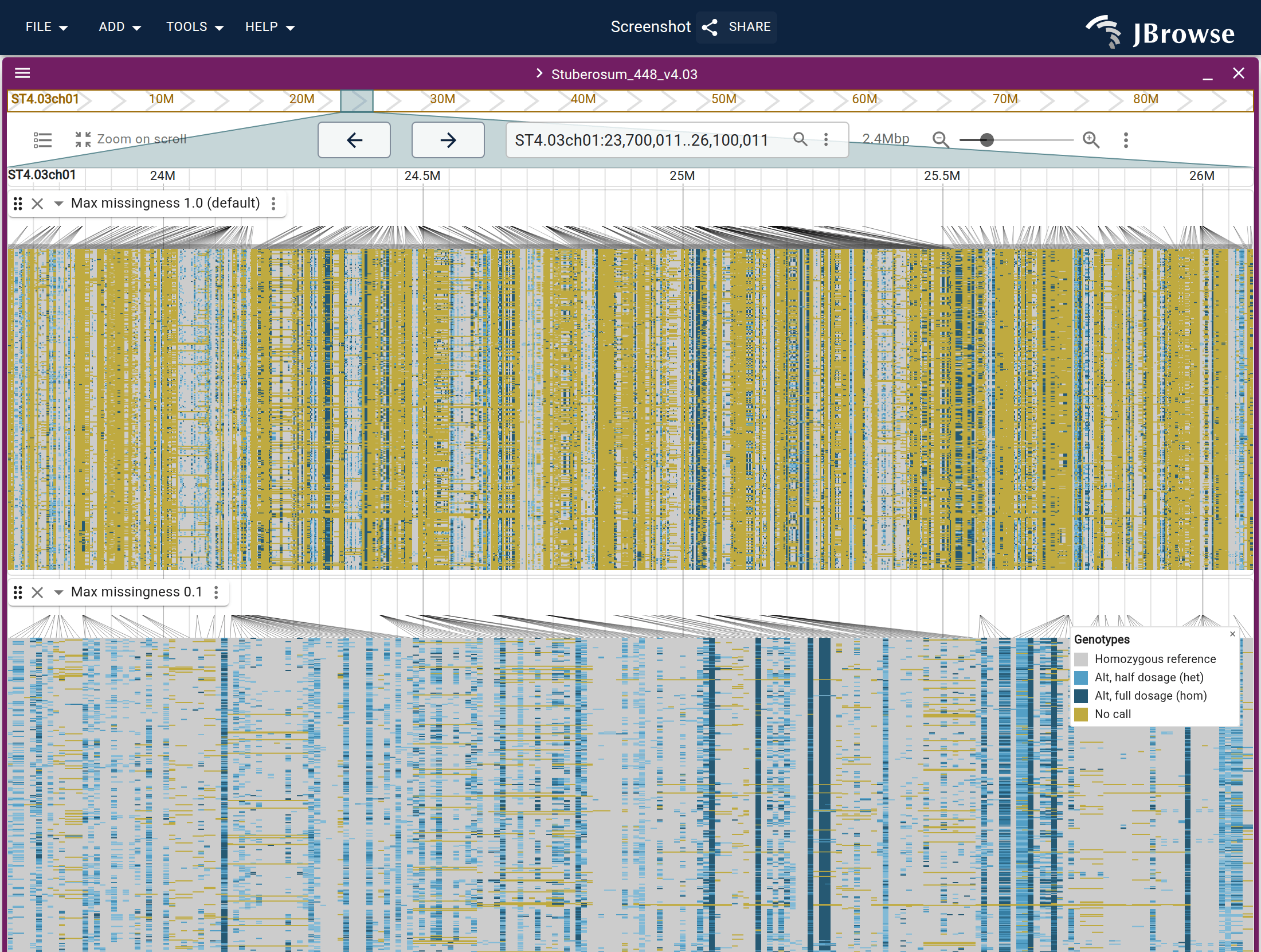 One tetraploid potato multi-sample VCF opened twice in the same view as a genotype matrix, on one ruler. Top: the default missingness ceiling keeps every variant, and no-call columns dominate. Bottom: a 0.1 ceiling leaves the well-genotyped sites.
